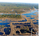 6 Die Wiedervernässung hat Erfolg: Hochmoorrenaturierung der ÖSSM
