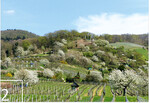 2 Ausschnitt der „Blühenden Bergstraße“ bei Schriesheim