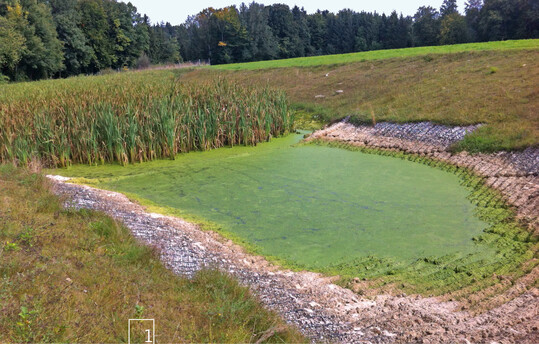 1 Fr den Rckhalt von Nhrstoffen wie hier Phosphor knnen an geeigneten Stellen Pflanzenklranlagen in den Oberflchenabfluss eingeschaltet werden.