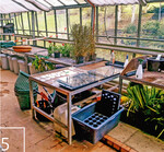 5 Gewächshaus des Botanischen Gartens Höxter: Hier wurden die ersten Samen ausgesät.