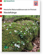 Hessische Naturwaldreservate im Portrait
