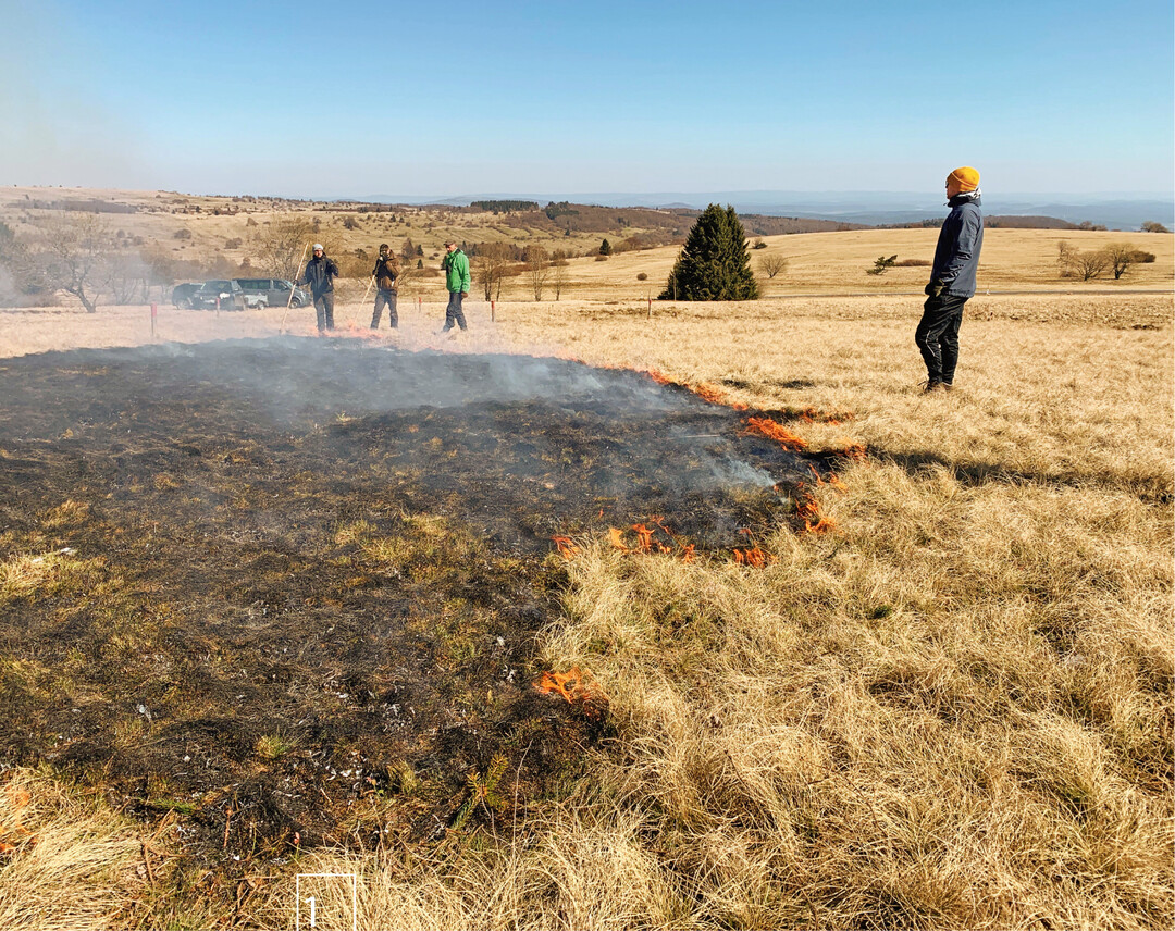 1) Projektteam beim Brennen von Borstgrasgrasen