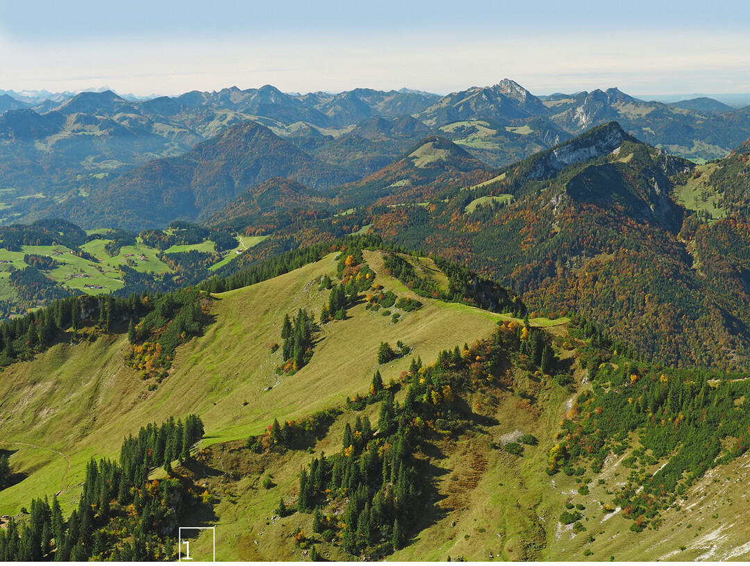 1 Für die Sachranger Bergbauern hat PAN erfolgreich einen Antrag vorbereitet, der die nachhaltige naturschutzkonforme Sicherung der Almwirtschaft zum Ziel hat.