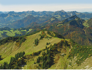 1 Fr die Sachranger Bergbauern hat PAN erfolgreich einen Antrag vorbereitet, der die nachhaltige naturschutzkonforme Sicherung der Almwirtschaft zum Ziel hat.