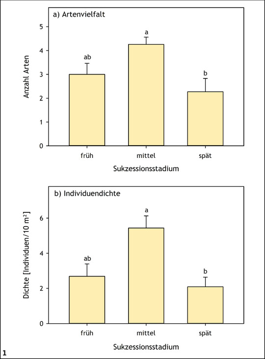  Abb. 1: Mittlere (+ Standardfehler) Artenzahl (a) und Individuendichte (b) von Heuschrecken entlang eines Gradienten von frhen bis spten Stadien der Sukzession in Schneeheide-Kiefernwldern (Oberes Isartal, Bayern). Signifikante Unterschiede liegen zwischen den Stadien vor, die keine gemeinsamen Buchstaben aufweisen (P  < 0,05). Quelle: Helbing et al. (2014) 