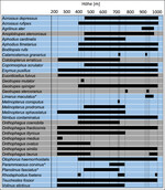 Abb. 4: Vorkommen der 33 erfassten Dungkäferarten in den bearbeiteten Höhenlagen im Nordschwarzwald zwischen 250 und 1.020 m. Die Untersuchungsflächen erscheinen im Höhengradient als gestrichelte Linie. Grau unterlegt sind im Boden brütende (parakopride) Arten. Alle anderen Arten brüten oberirdisch (endokoprid). Die mit * markierten Arten sind überwiegend Bewohner von Waldgebieten und daher nur Zufallsfunde auf den bearbeiteten Weideflächen.