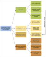 Abb. 7: Elemente des Insektenschutzes im Wald durch einen Wechsel von Licht und Schatten.