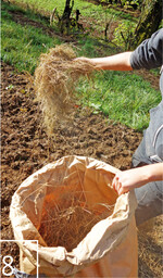8 Zur Renaturierung wird auch per Hand authochthones Saatgut verteilt.