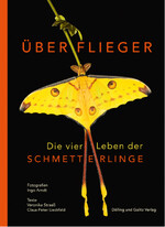 Überflieger