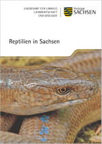 Reptilien in Sachsen