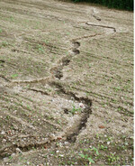 <strong>Abb. 4: </strong>boden:ständig-Projekt in der ILE Frankenpfalz im Fichtelgebirge: Ziel ist es, den Verlust fruchtbaren Bodens bei Starkregenereignissen zu reduzieren und den Wasserrückhalt in der Landschaft zu verbessern. © Bayerische Verwaltung für Ländliche Entwicklung The so-called “Boden:ständig projekt in the IRD Frankenpfalz in the mountain range Fichtelgebirge: the project aims to reduce the loss of fertile soil caused by heavy rainfall and to improve the capacity of the landscape to retain water.