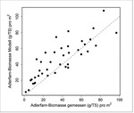 Abb. 6: Vergleich zwischen der modellierten und der 2008 tatsächlich im Feld gesammelten und gemessenen oberirdischen Adlerfarn-Biomasse (g/TS pro m<sup>2</sup>) (r<sup>2</sup> = 0,84, p = < 0,001, n = 40).
