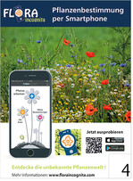 4 Die Flora Incognita ist die Krone der Entwicklung. Sie hilft auch Laien, Pflanzen in ihrer Umgebung zu bestimmen.