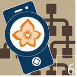 6 Die Flora Keys ist gerade in der Entwicklung. Mit ihr wird es möglich, auch kritische Arten zu bestimmen in Form eines digitalen Bestimmungsschlüssels.