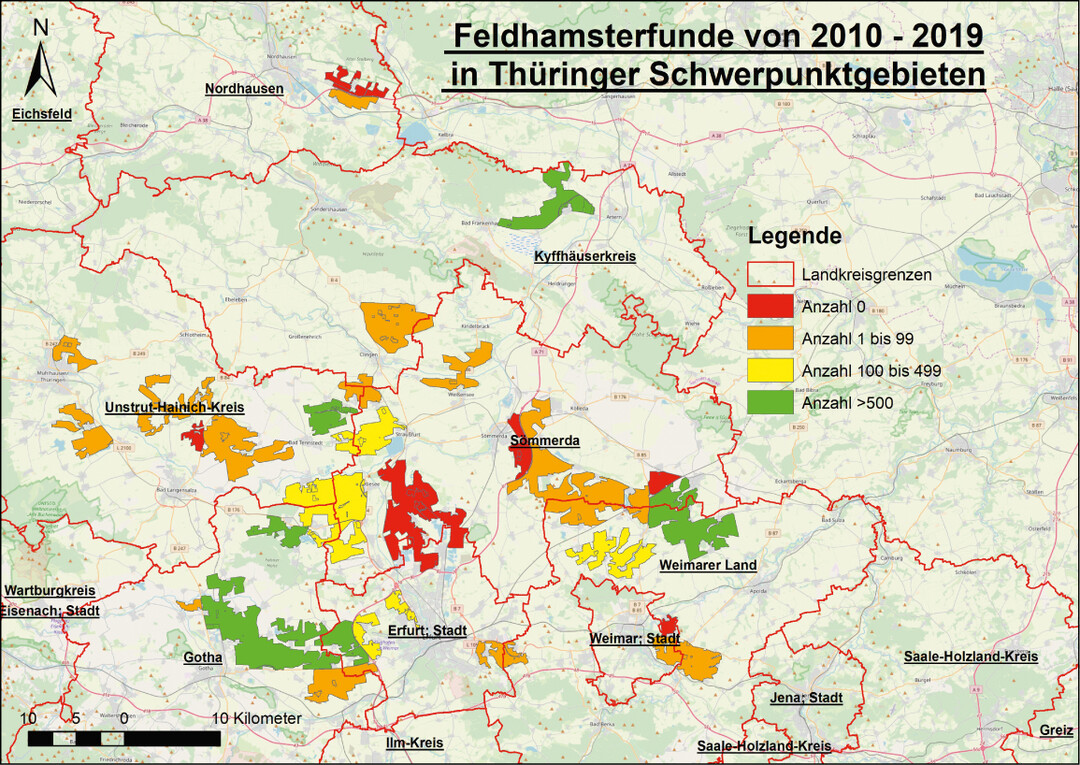 Abb. 1: Eine GIS-Datenanalyse aller Fundmeldungen, die im Fachinformationssystem Naturschutz des Thringer Landesamt fr Umwelt, Bergbau und Naturschutz (TLUBN) zwischen 2010 - 2019 eingegangen sind hat ergeben, dass nur in 11 der insgesamt 35 Thringer Feldhamster-Schwerpunktgebieten mehr als 100 (gelb) bzw. 500 Fundpunkte (grn) im gesamten Zeitraum gemeldet worden sind. Die Kartier-Ergebnisse des FFH-Bundesmonitorings und des Monitorings des qualifizierten Verbreitungsgebietes sind mit abgebildet.