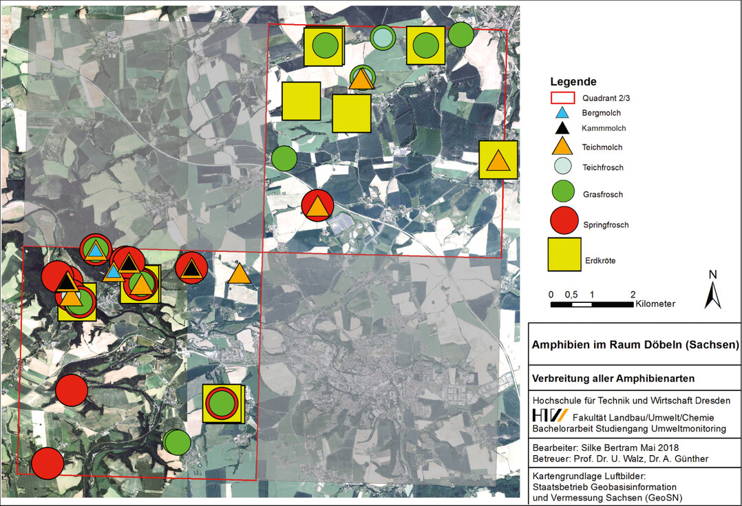 Abb. 7: Verbreitung aller Amphibienarten im gesamten Untersuchungsgebiet.