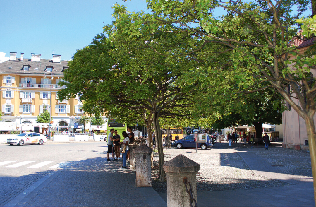 Abb. 1: Whrend der heien Sommermonate suchen die Stadtbewohner auf urbanen Freiflchen den khleren Baumschatten auf.