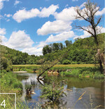 4 Die Nied bei Niedaltdorf fällt in den Bereich von Frank Grütz.