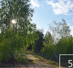 5 Lichte Sukzessionswälder und offene Bereiche wechseln sich ab.