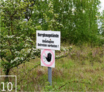 10 In einigen Bereichen der Wildnisgebietes herrscht Betretungsverbot, sodass sich die Natur hier ungestört entwickeln kann.