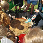 10 Umweltbildung ist ein wichtiges Aufgabenfeld der Gesellschaft.