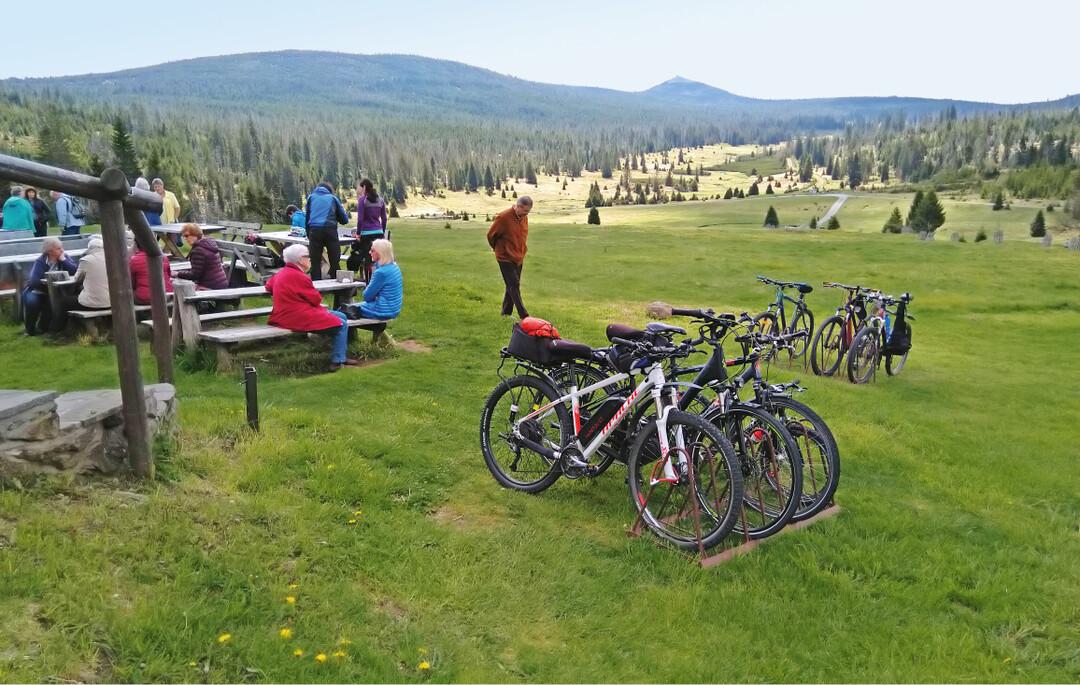 Abb. 7: Br eznik (P�rstling) � ein beliebtes Ausflugsziel im Nationalpark Sumava mit charakteristischer Offenlandfl�che