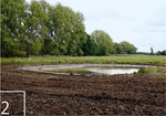 2 In der Okeraue hat das Projektteam neue Gewösser angelegt.