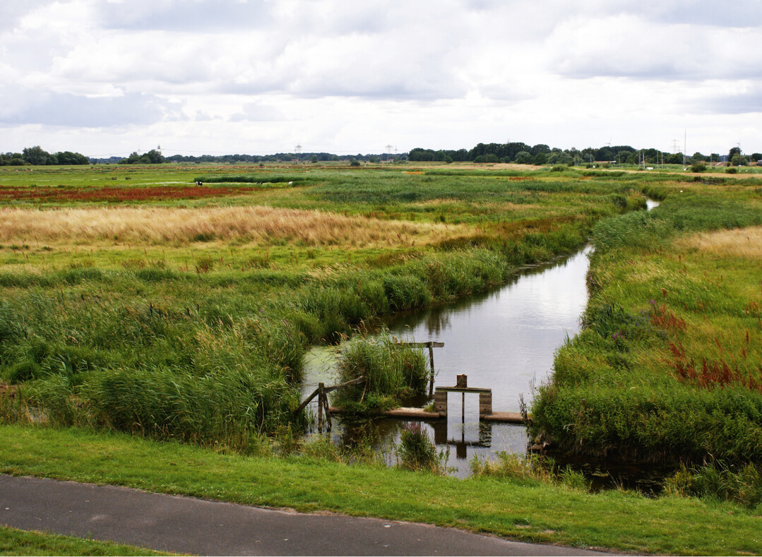 Rastpolder im Landschaftsschutzgebiet Niedervieland in Bremen