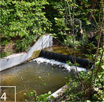 4) Mithilfe von Krebssperren soll die Ausbreitung des Signalkrebses verhindern.