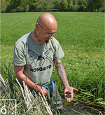 6) In das Gewässer hat das Team erwachsene Bachmuscheln eingebracht. Die Tiere werden regelmäßig kontolliert.