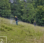 2) Mit Freischneidern wird das Mahdgut von geeigneten Flächen gewonnen.