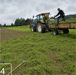 4) ... um es dann möglichst gleichmäßig in die vorbereitete Fläche auszubringen.