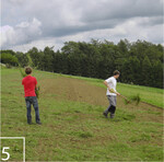 5) Per Hand wird das Mahdgut verteilt.