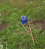 9) Wiederansieldung funktioniert auch „minimalinvasiv" mit Grubber und Hacke.