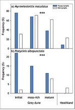 <strong>Abb. 7: </strong>Mikrohabitatwechsel bei der Gefleckten Keulenschrecke (Myrmeleotettix maculatus ) und Westlichen Beißschrecke (Platycleis albopunctata ), dargestellt anhand der Verteilung junger und alter Larven entlang eines Sukzessionsgradienten von initialen Stadien der Graudünenentwicklung bis hin zu Heiden in Küstendünen der Insel Hiddensee (Mecklenburg-Vorpommern). *** P < 0,001. Quelle:Wünschet al. (2012). Habitat shift of the mottled grasshopper (Myrmeleotettix maculatus) and the grey bush-cricket (Platycleis albopunctata) shown for young and old nymphs along a successional gradient from initial grey dunes to heathland in coastal dunes of the Baltic Sea Island Hiddensee (Mecklenburg Western Pomerania). *** P <0.001.