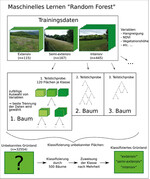 Abb. 5: Random Forest zur Grünlandklassifizierung nach Nutzungsintensität. Random forest for the classification of grassland types depending on land use intensity.