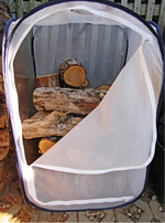 Abb. 4: Zelt aus Gaze zur Zucht von Holzkäfern, befüllt mit unterschiedlich dicken Aststücken. Tent made from gauze, filled with branch cuttings of different thickness to cultivate wood beetles.