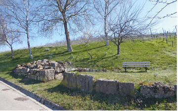 Abb.1: „Zaunammerfenster“ in einem Wegzwickel („Spitz“) am Drrenberg/Pfaffenweiler, 28.03.2019. Geplant waren: Hecke/Singwarte, Lesesteinhaufen, Brache, Blhstreifen, Nistksten. ©Jessica Rabenschlag