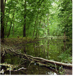 4 Der Burgauenbach mit seinen wechselnden Wasserständen ist für das Projekt ein wichtiges Werkzeug in der Kommunikation.