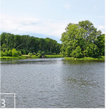 3 Durch die geringe Fließgeschwindigkeit im Elsterbecken sedimentieren hier viele Feinanteile.