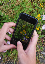 Pflanzenerkennung mit künstlicher Intelligenz: Der digitale Fortschritt macht neue Formate der Zusammenarbeit zwischen Bevölkerung und Wissenschaft möglich und weckt zugleich das Interesse an der (Stadt-)Natur.
