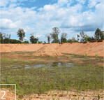 2 In nicht genutzten Bereichen der Sandgruben kann sich Vegetation ansiedeln ...
