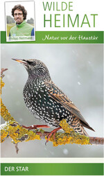 Der Vogelphilipp nutzt jede Möglichkeit, um die Menschen für die Vogelwelt zu sensibilisieren: beispielsweise über „Wilde Heimat“.