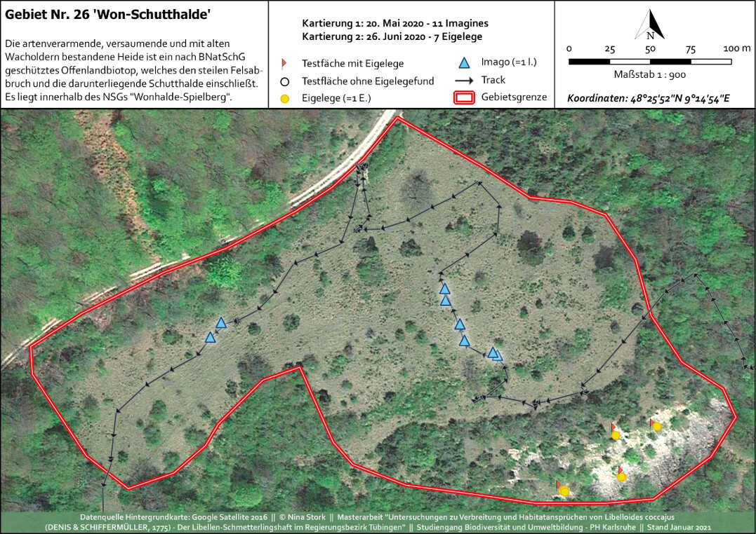 Abb.�11: Kartierkarte mit Imaginal- und Pr�imaginal-Nachweisen im NSG Wonhalde-Spielberg