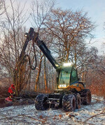 Abb. 4: Der Harvester EcoLog 580D mit einem Fäller-Bündler-Aggregat des Typs Bracke C16