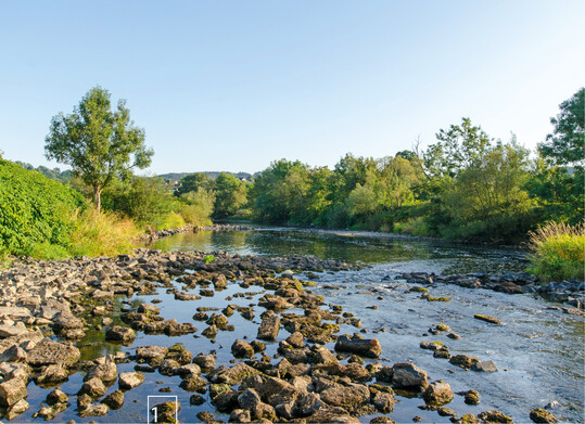 1) Die Sieg bei Niedrigwasser