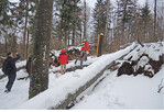 <strong>Abb. 6: </strong>Natürliche Störungen in Wirtschaftswäldern können wertvolle Totholz- und Habitatstrukturen schaffen, wie hier in Bergmischwäldern nach dem Sturm Kolle in Niederbayern. Natural disturbances in cultivated forests can provide valuable habitats and deadwood structures, such as in mixed mountain forests in Lower Bavaria after the storm “Kolle“ in 2017.