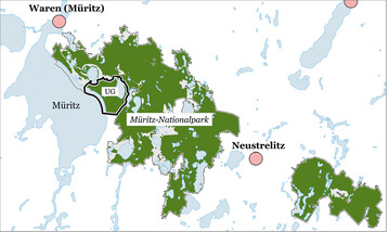 Abb.1: Lage des Untersuchungsgebietes „Ostufer der Mritz“ (UG) im Mritz-Nationalpark (grn).