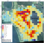 Abb. 5: Veränderung von Gehölzen mit > 2 m Höhe zwischen 1991 bis 2013 am Ostufer der Müritz auf der Rastergrundlage von 6,25-ha-Kacheln.
