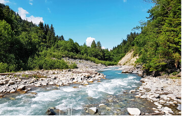 Die Ergebnisse des neuen, vierten Landesforstinventars (LFI4) zeigen, dass der Schweizer Wald in guter Verfassung ist.